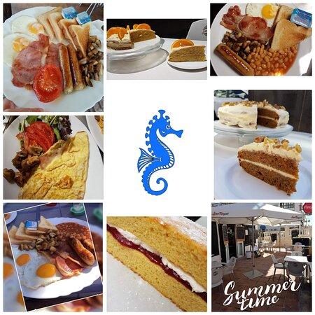 Seahorsebar Benalmadena